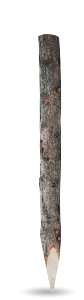Modřínový kůl